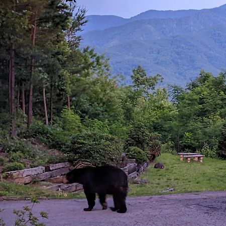 Real Log Cabin With Amazing Views, Hot Tub, Sauna, Games Gatlinburg Luaran gambar
